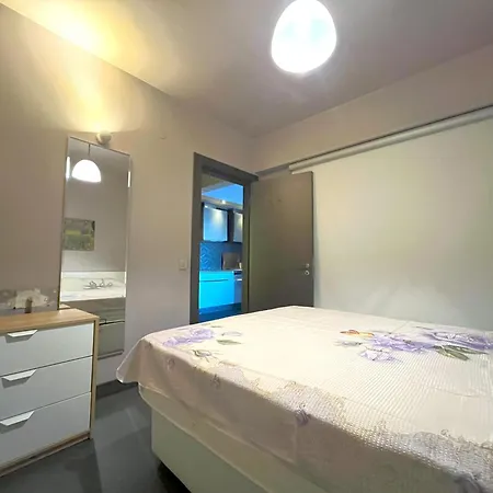 Stylish With Bosphorus View In Besiktas Apartment